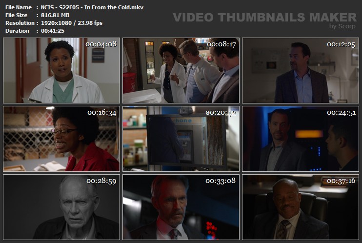 NCIS - S22E05 - In From the Cold.mkv