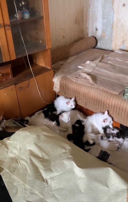 D3B2E1CF-215A-4B59-8844-2E1048884E39