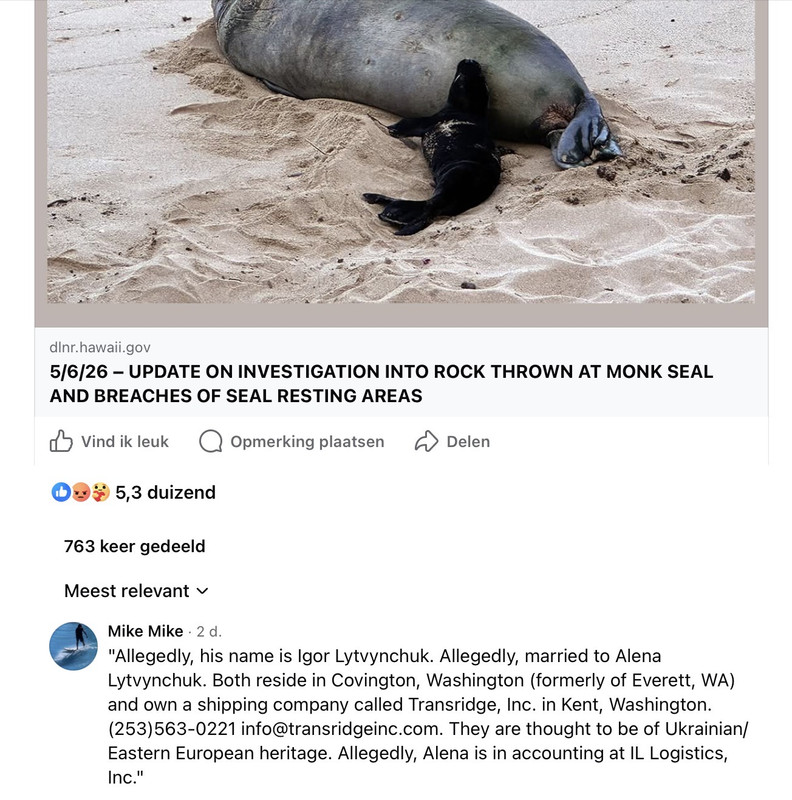 https://i.postimg.cc/K8PmkwPF/IMG-4279.jpg