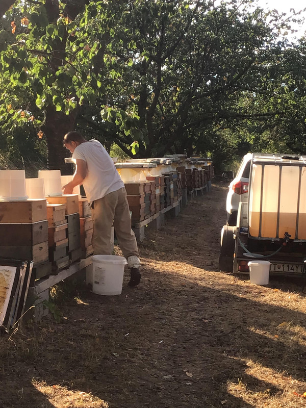 Plnennie kŕmitok a zakrmovanie