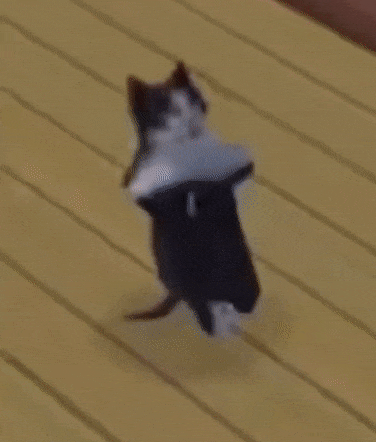 d.gif