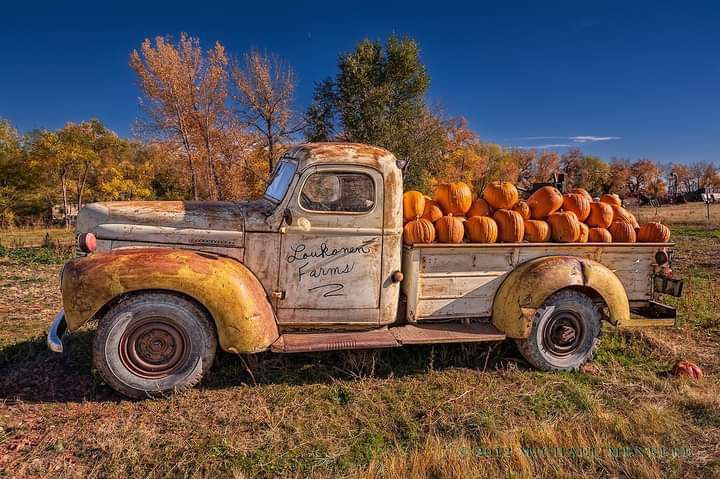 Fall-Pumpkins-Fall-Truck-load