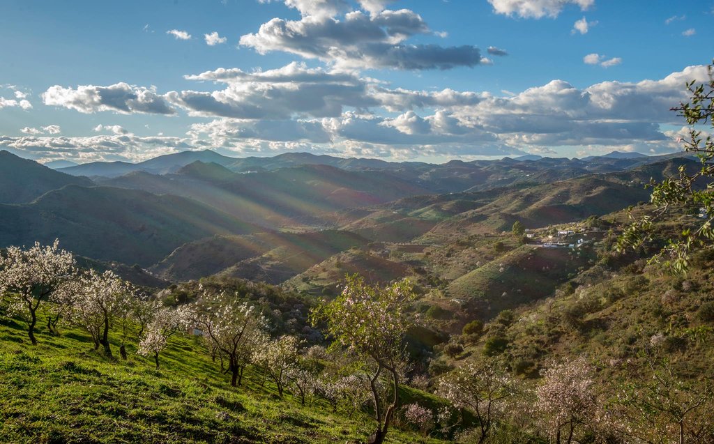 dd-s-mountain-view.jpg