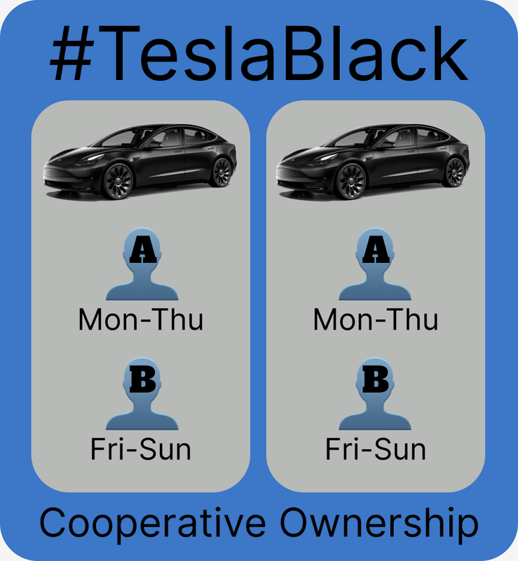 Tesla-Black-Cooperative-Ownership.png