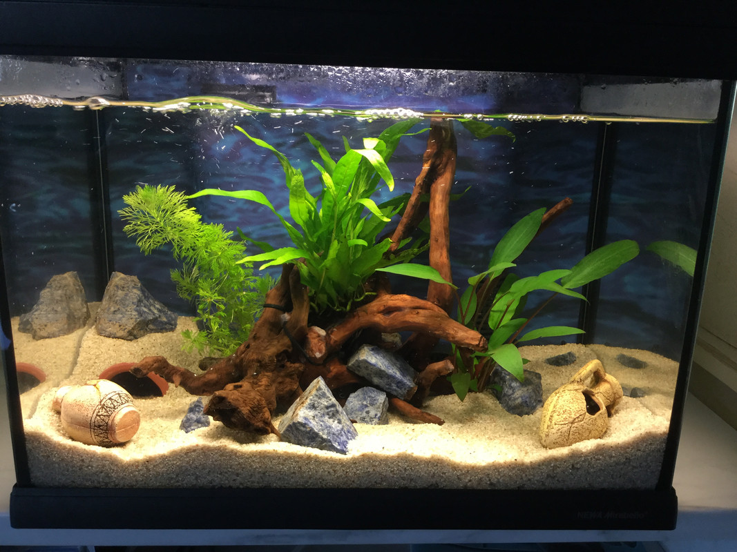 D2CE070B-B6A3-4F45-95BA-BE9BBF800CD0