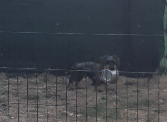 [Image: 20220825-222734.jpg]