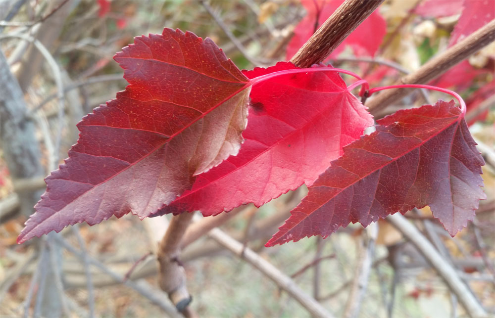 [Image: y20181008_180957.jpg]