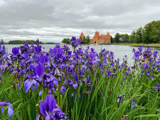 66-C2-FF10-87-EE-4041-8-BC7-BFF2-D89-D40