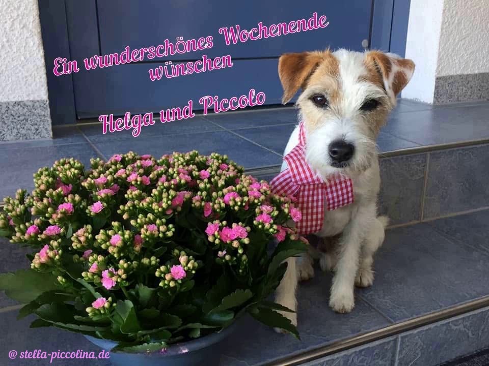 An den Beitrag angehängtes Bild: https://i.postimg.cc/K8R2bd6n/WOCHENBLUME-03.jpg