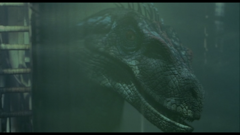 Jurassic Park III 2001 DVDRip NonyMovies