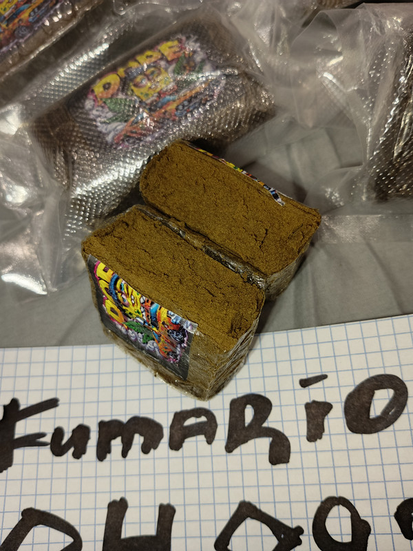 IMG_20250905_163439_182