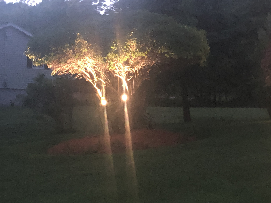 64FF2333-18D7-48E3-ABD2-CD42A479ED39