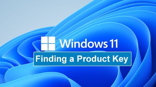 Microsoft Windows key