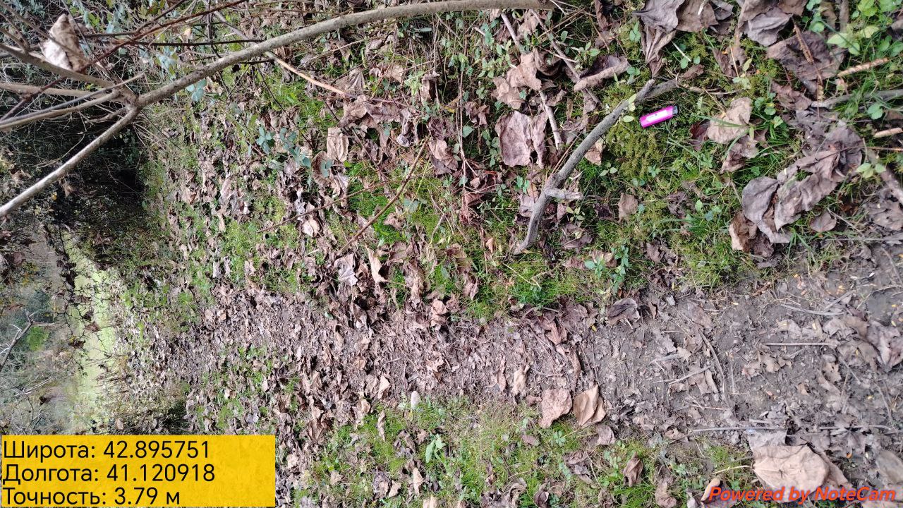 IMG 20251111 231021 198