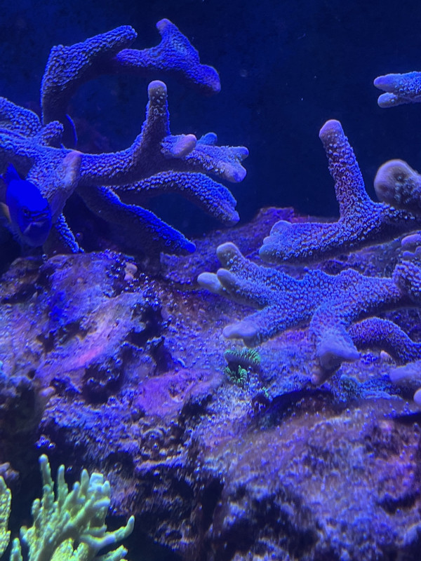 672B82DC-F46D-4316-B789-EED91F9E51D0