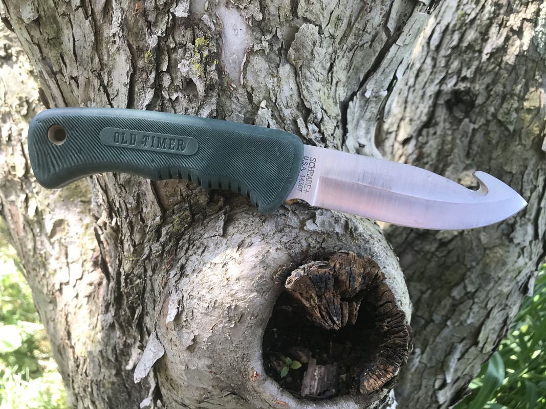 75728527-52B0-4369-803F-A51F0D9660FE