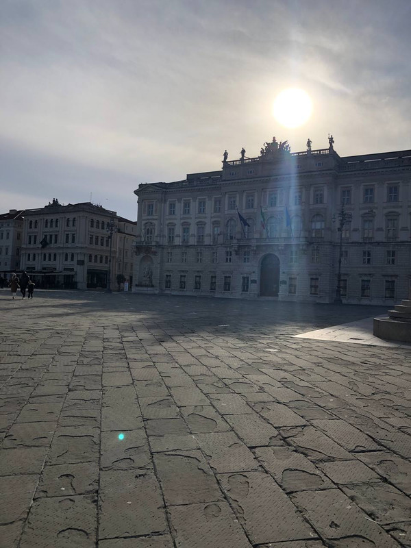 photo_2025-02-01_17-41-59