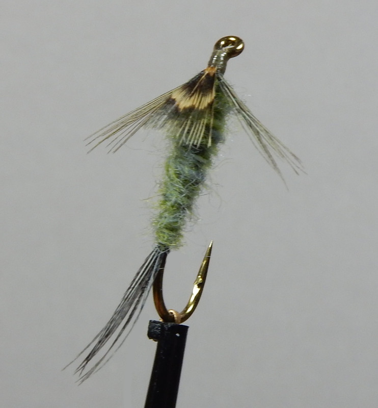 What Are You Tying Today? Pa