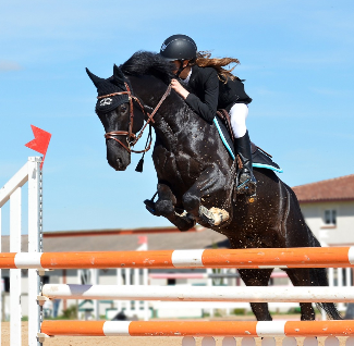 Jumping-horse.png
