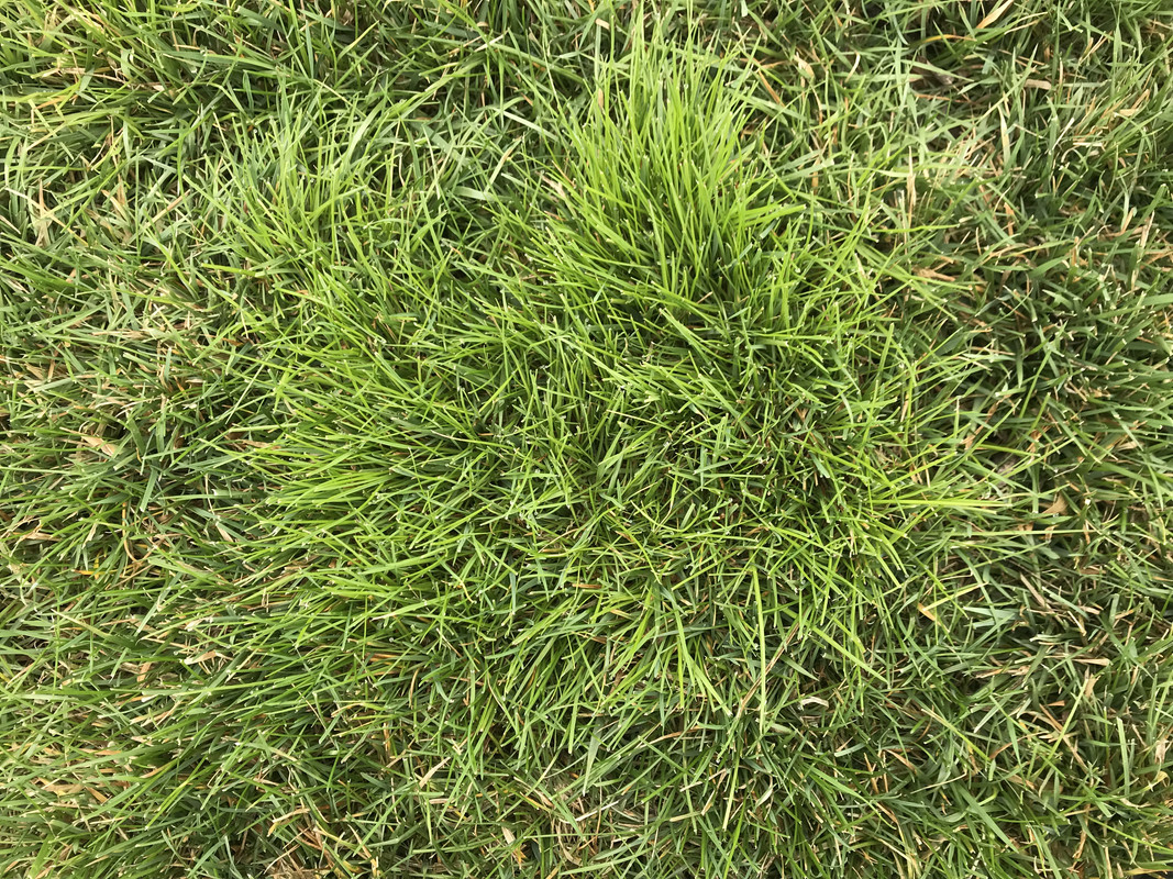 CC1F7193-E92B-496B-BBBD-52698B61D8F3