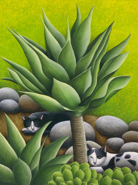 14-black-and-white-cats-with-agaves-carol-wilson