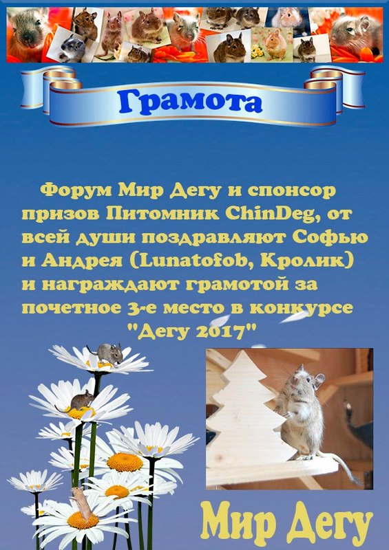 3 место