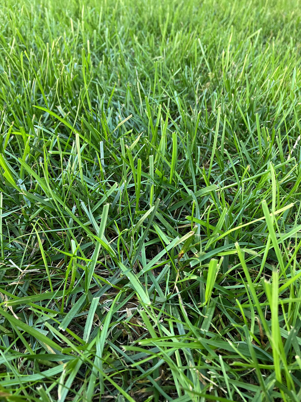 331EDC95-9156-4E45-89A7-A08EA8A51CC6