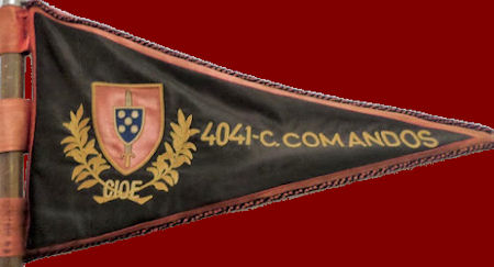 CCmds4041