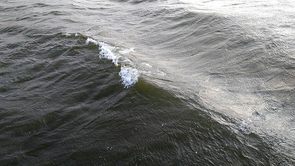 70598906-10211646307072424-2820485034505