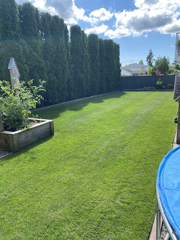 94C5769B-6094-4433-803F-04B440CCA6AF