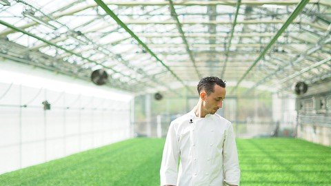 [Image: f2z-Wkd-X06-LBDCj-Mpd-BGMKTxy6-Uma-U9-J7.jpg]