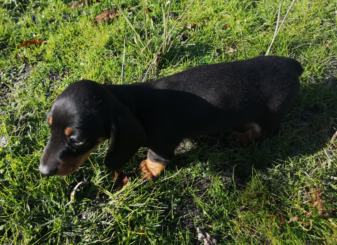 [Image: IMG-20201202-WA0002.jpg]