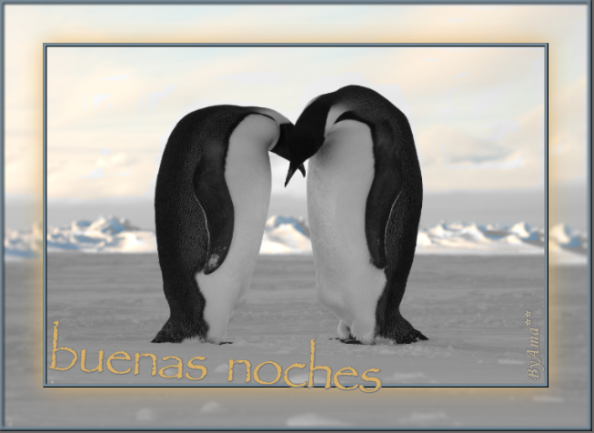 Pinguinos Emperadores Reyes de los Mares del Sur Noches