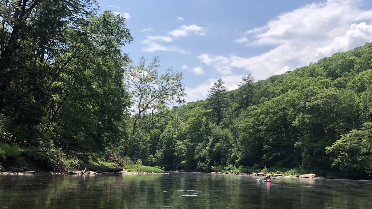 66C136DA-7104-418A-A780-901F1A723598