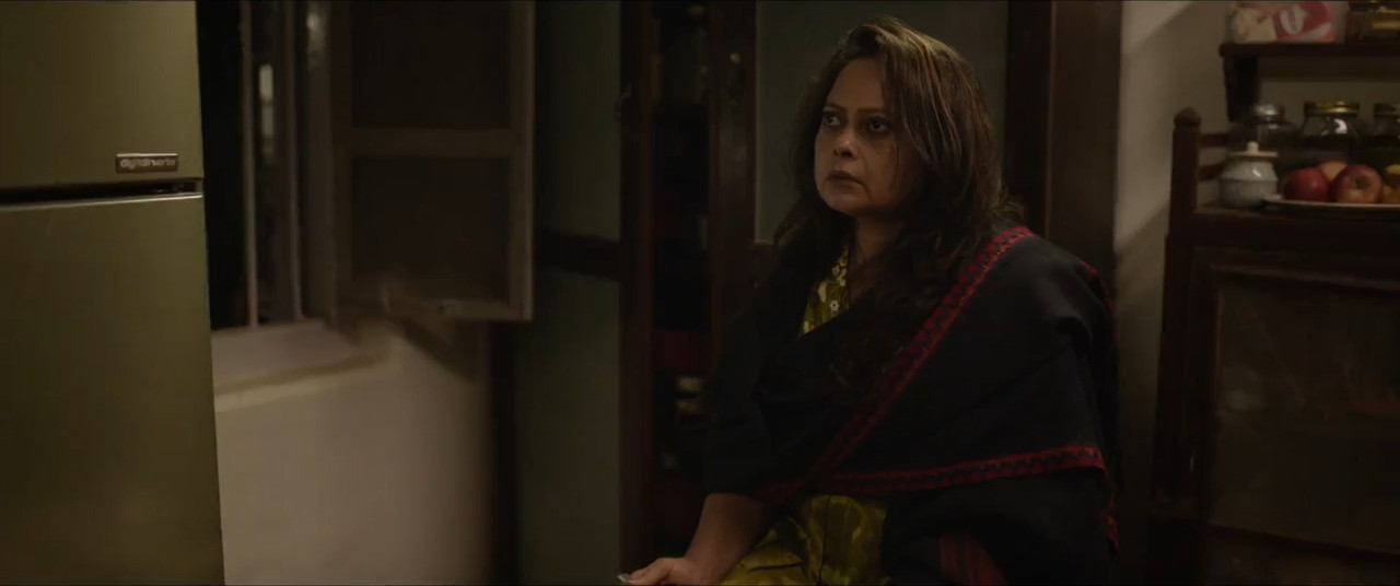 Everybody Loves Sohrab Handa 2026 WebRip [Hindi] 480p 720p ESub Screenshot