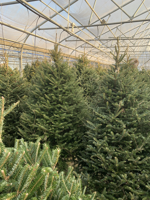 EC84C536-7A97-4DAE-9F5F-6F4659D2C622