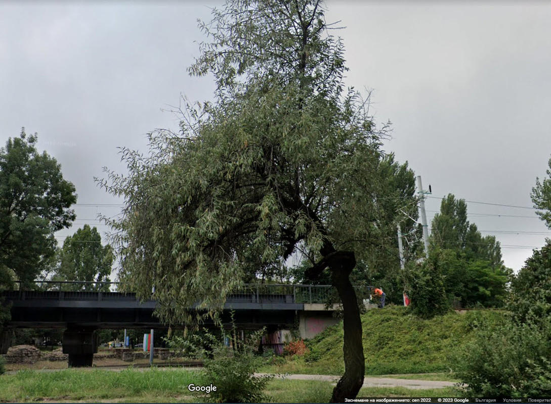 сребр2