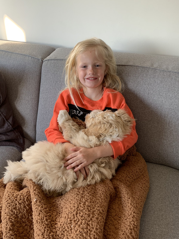 6D4CBF1F-F2DA-440F-A2A7-5FF8D9A2ABCC