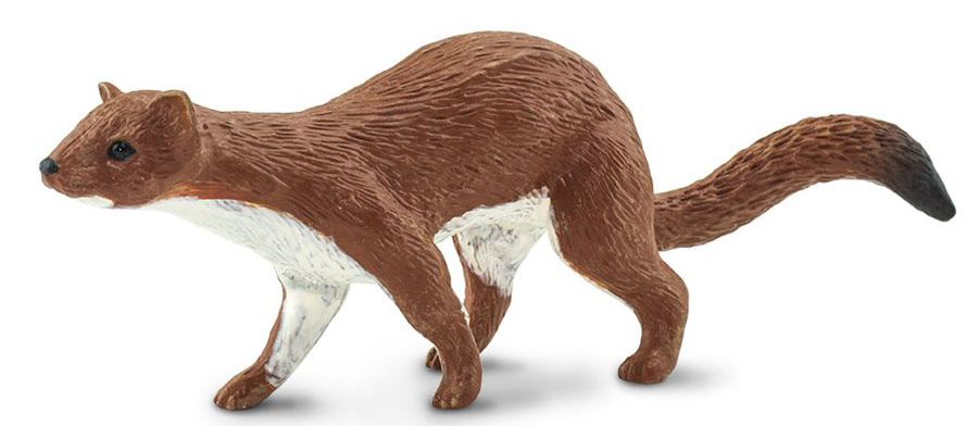 papo - The 2020 STS Woodland figure of the year - Squirrel by Papo!  Safari-ltd-Long-tail-weasel