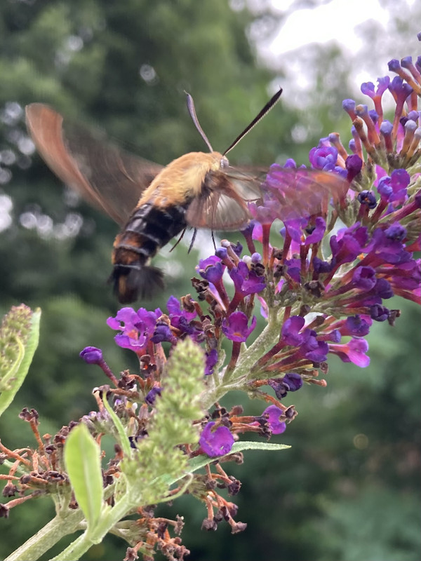 D5ED12AA-E6F7-4DF6-87C3-E71F50E55CCC