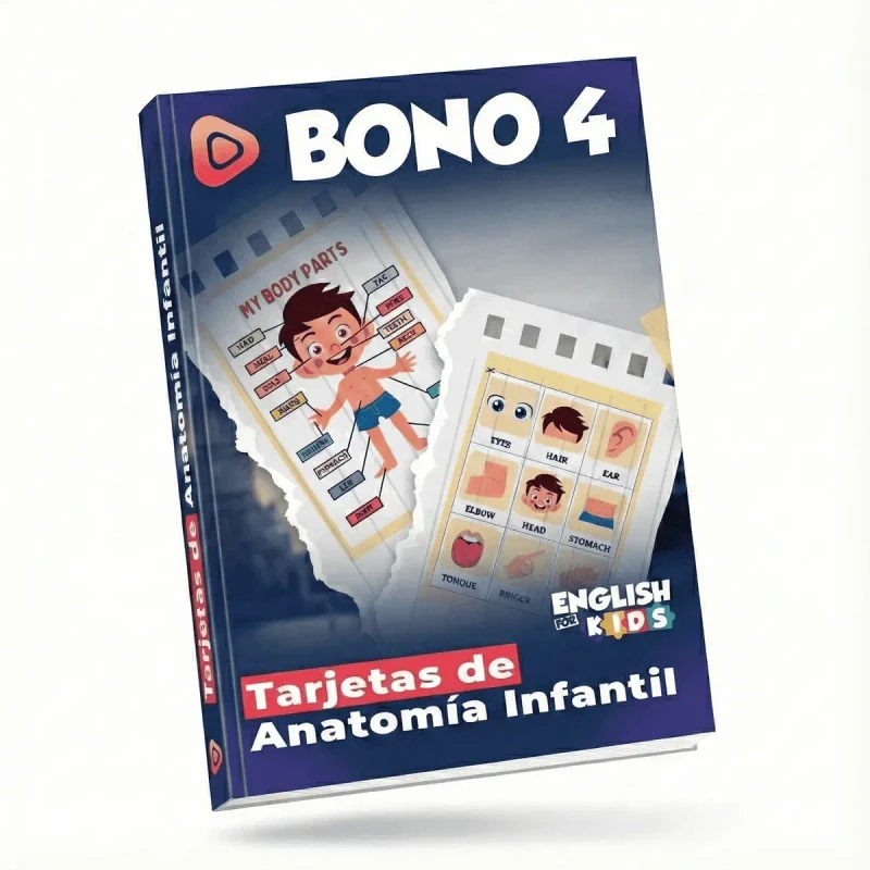 Flashcards Anatomía Infantil