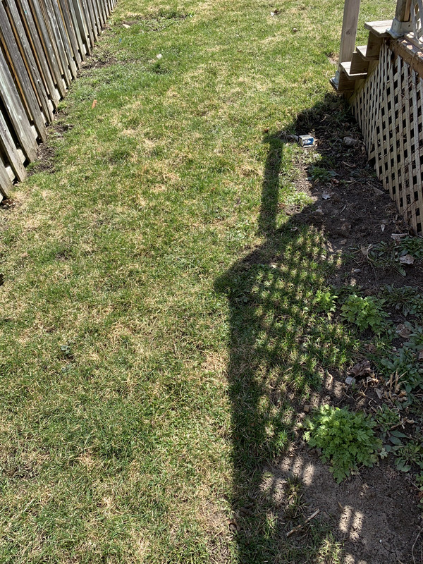 13D1F9FF-DE62-4641-A214-F3DFB43754FE