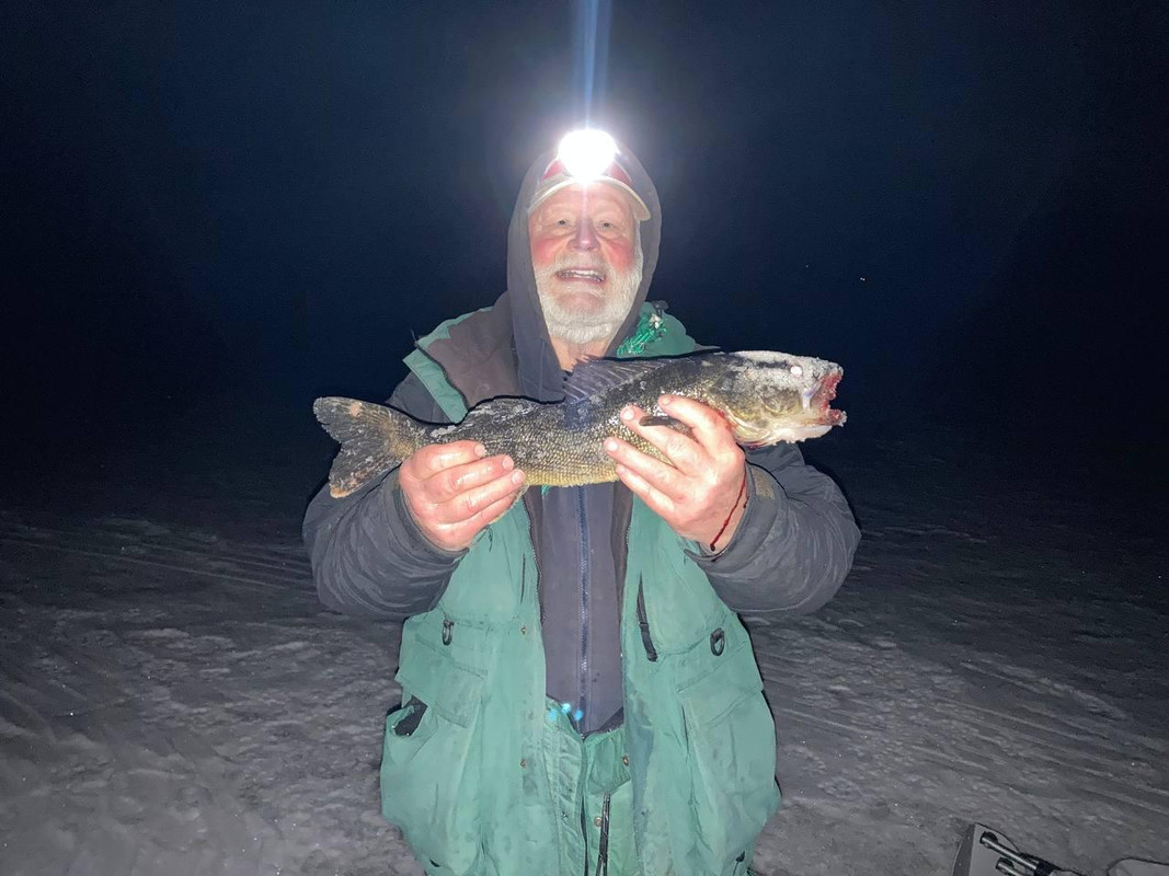 walleeye