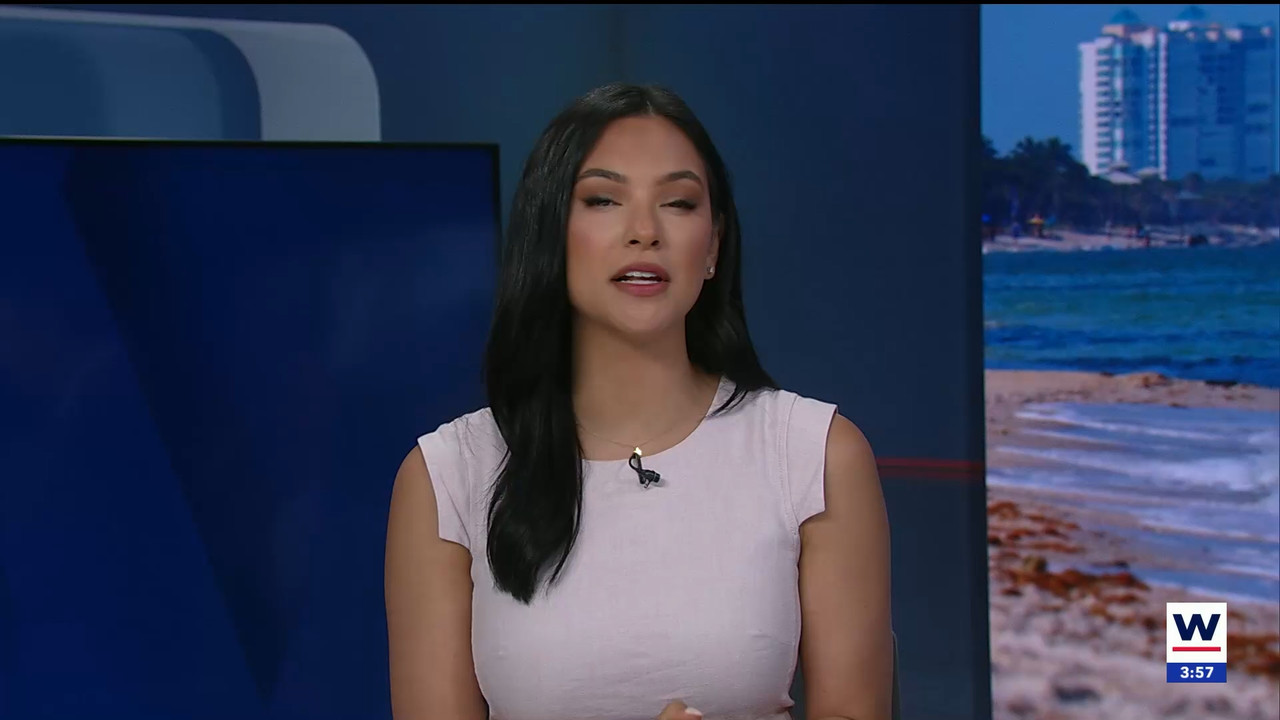 03.18 - 19.00.01 - WINK News at 3pm.   Category  News.      EPG Credi....ts_snapshot_58.04.337