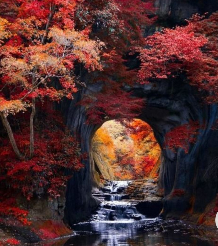 Screenshot_20230211_170526_Chrome