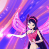 411-Bel-Musa-Icon4