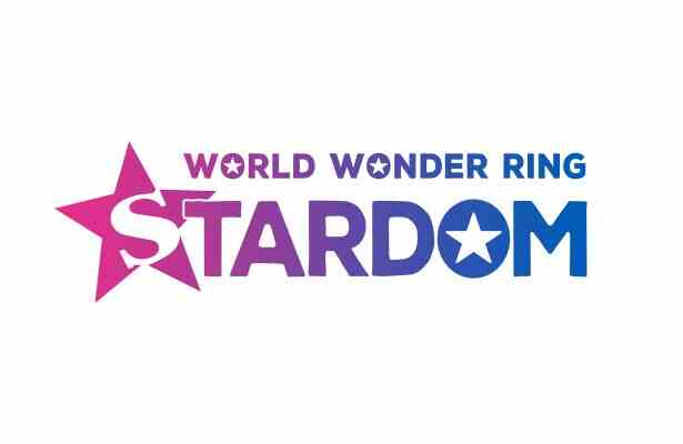  Stardom Wrestling 