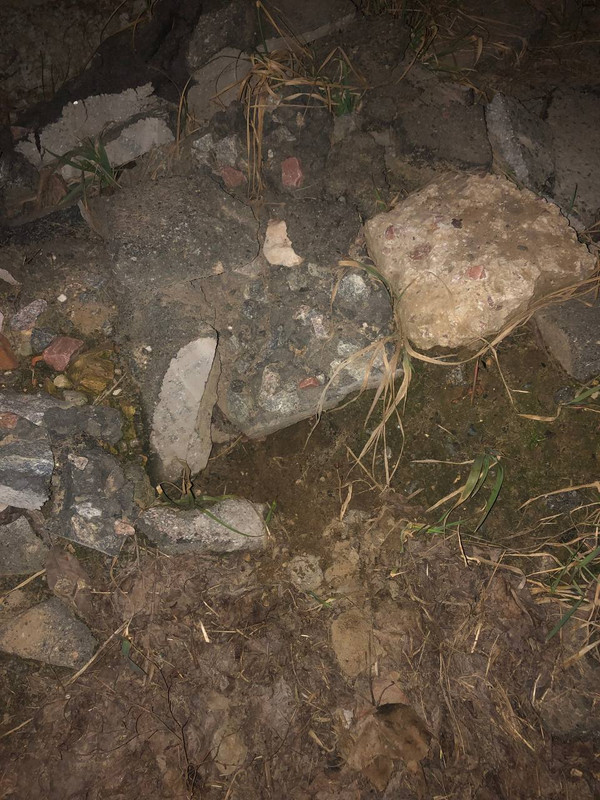 photo_2023-03-23_18-28-47 (2)