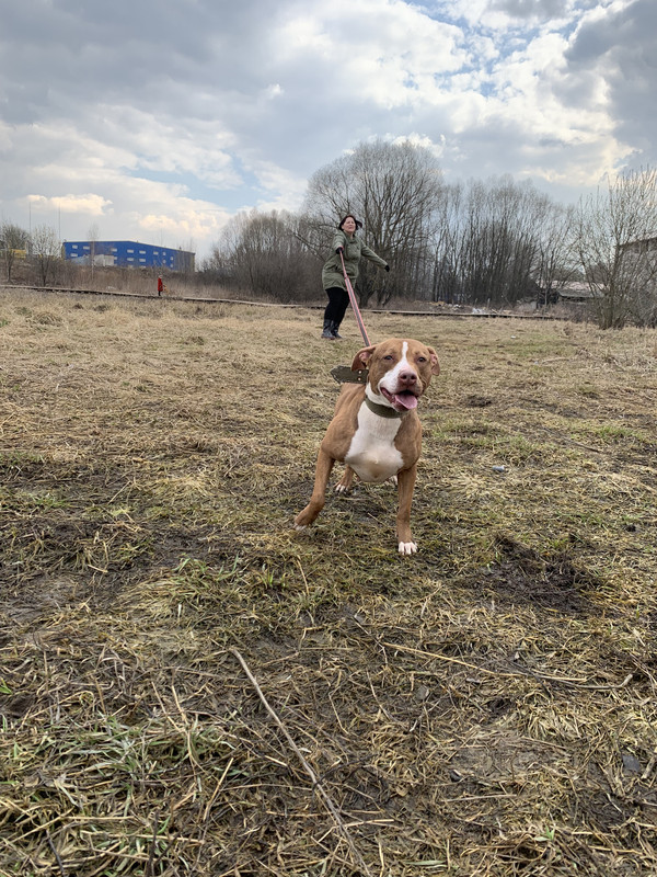 image-09-04-23-05-39-5 (1)