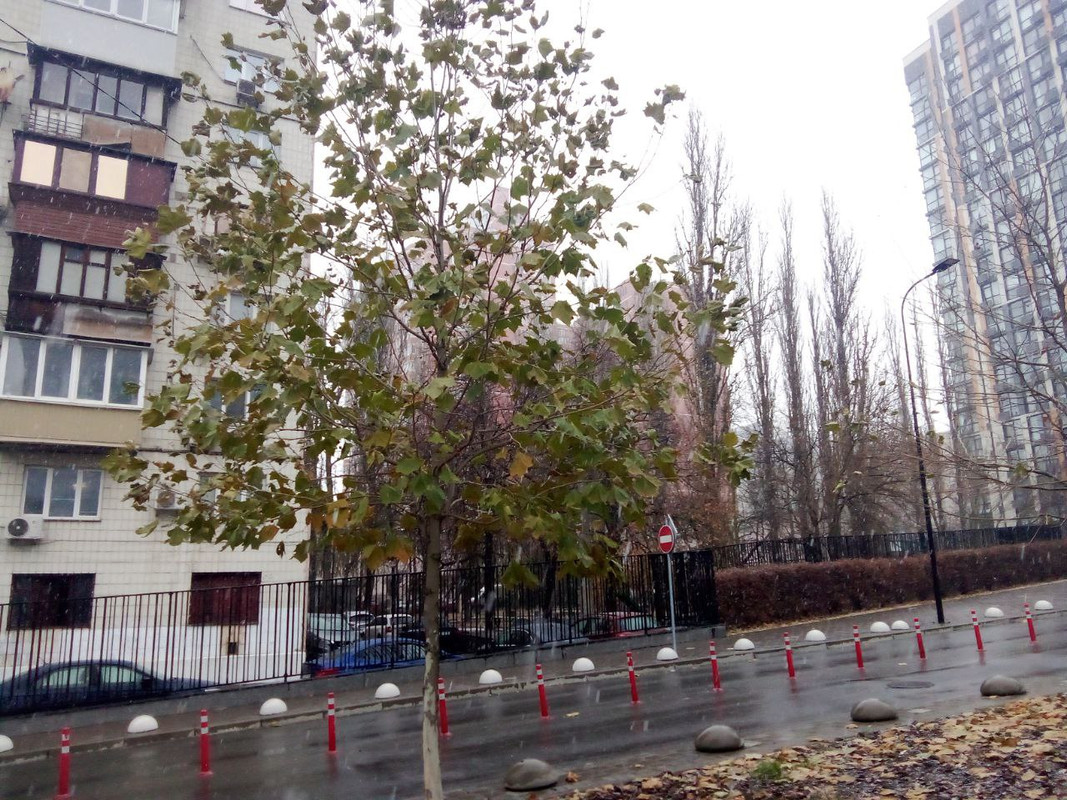 photo_2024-12-01 9.05.58 дп